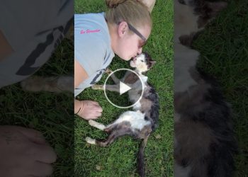 Today marks the one year anniversary of our special boy, Santana – Cute mischievous