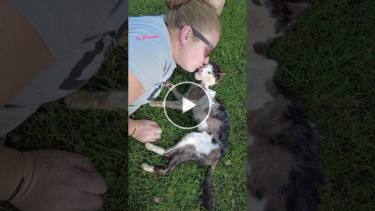 Today marks the one year anniversary of our special boy, Santana – Cute mischievous